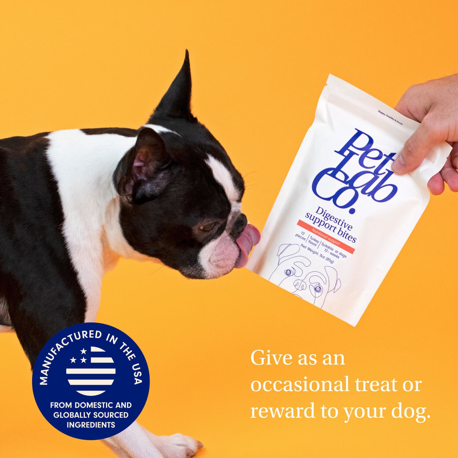 Dog Digestive Support Treats for Sensitive Stomachs