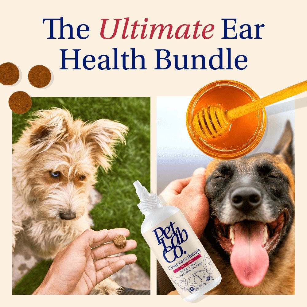 dog-ear-yeast-bundle-for-itchy-skin-head-shaking-petlab-co