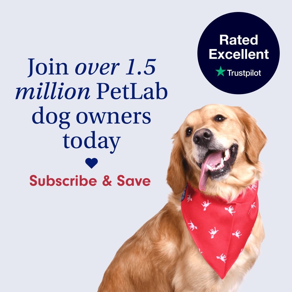 Hypoallergenic Wipes For Dogs Cleansing Grooming Wipes PetLab Co.