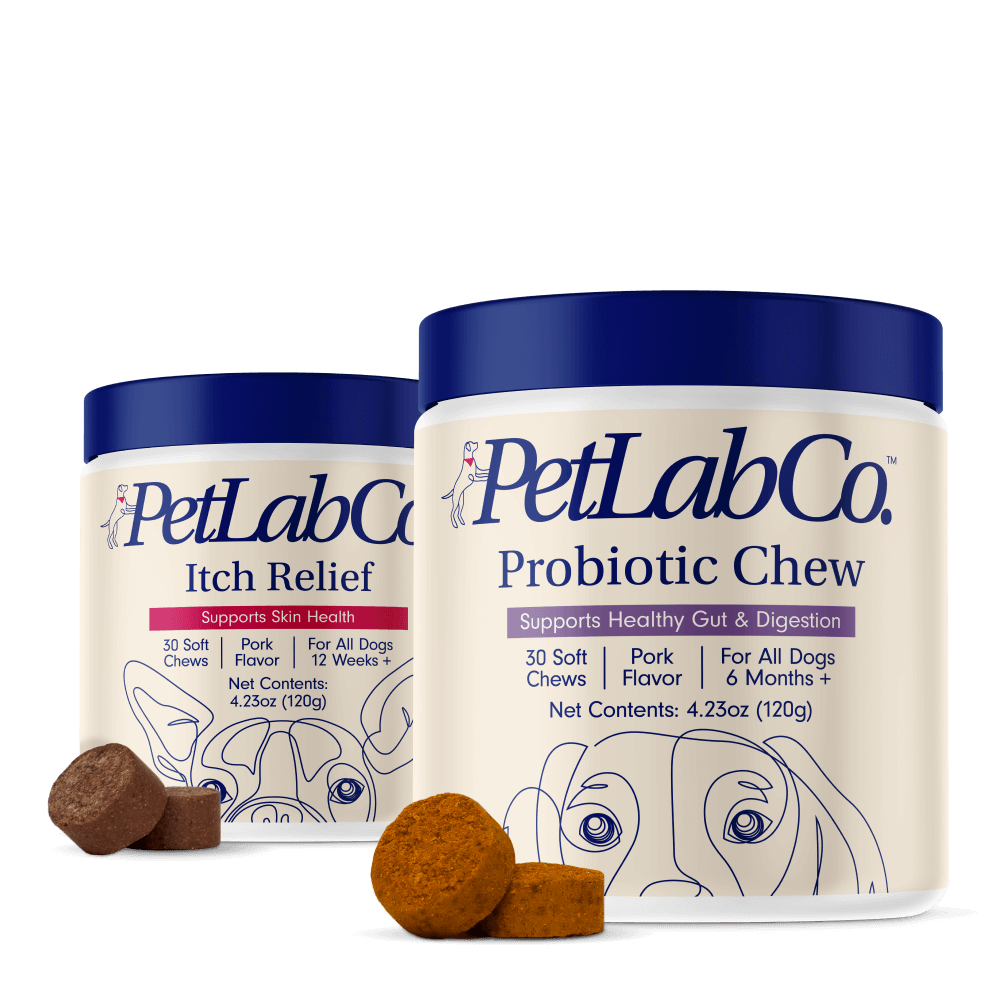 Dog Itchy Skin Bundle Probiotic & Itch Relief Pro Supplements