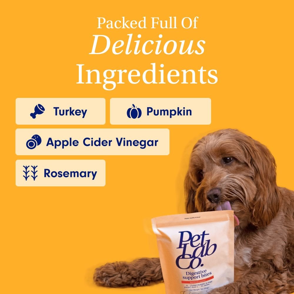 Dog Digestive Support Treats for Sensitive Stomachs