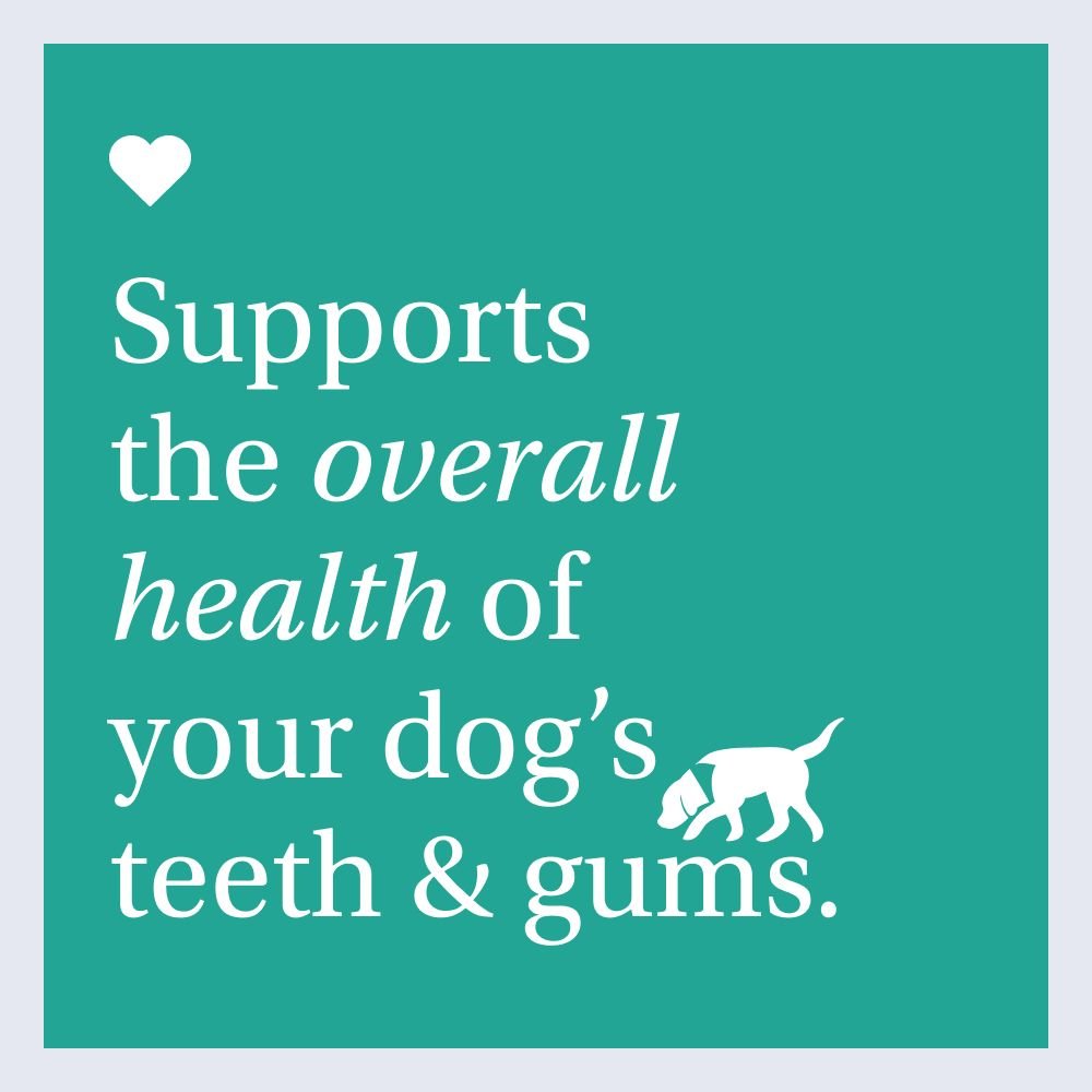 Dog Dental Formula Targets Plaque & Tartar BuildUp PetLab Co.