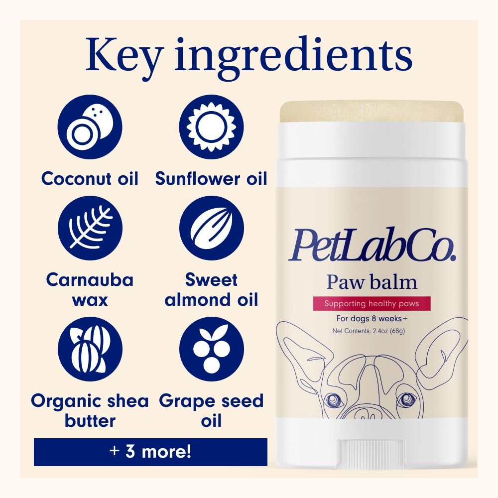 Paw Balm For Dogs Treat Your Dog’s Dry, Cracked Paws PetLab Co.