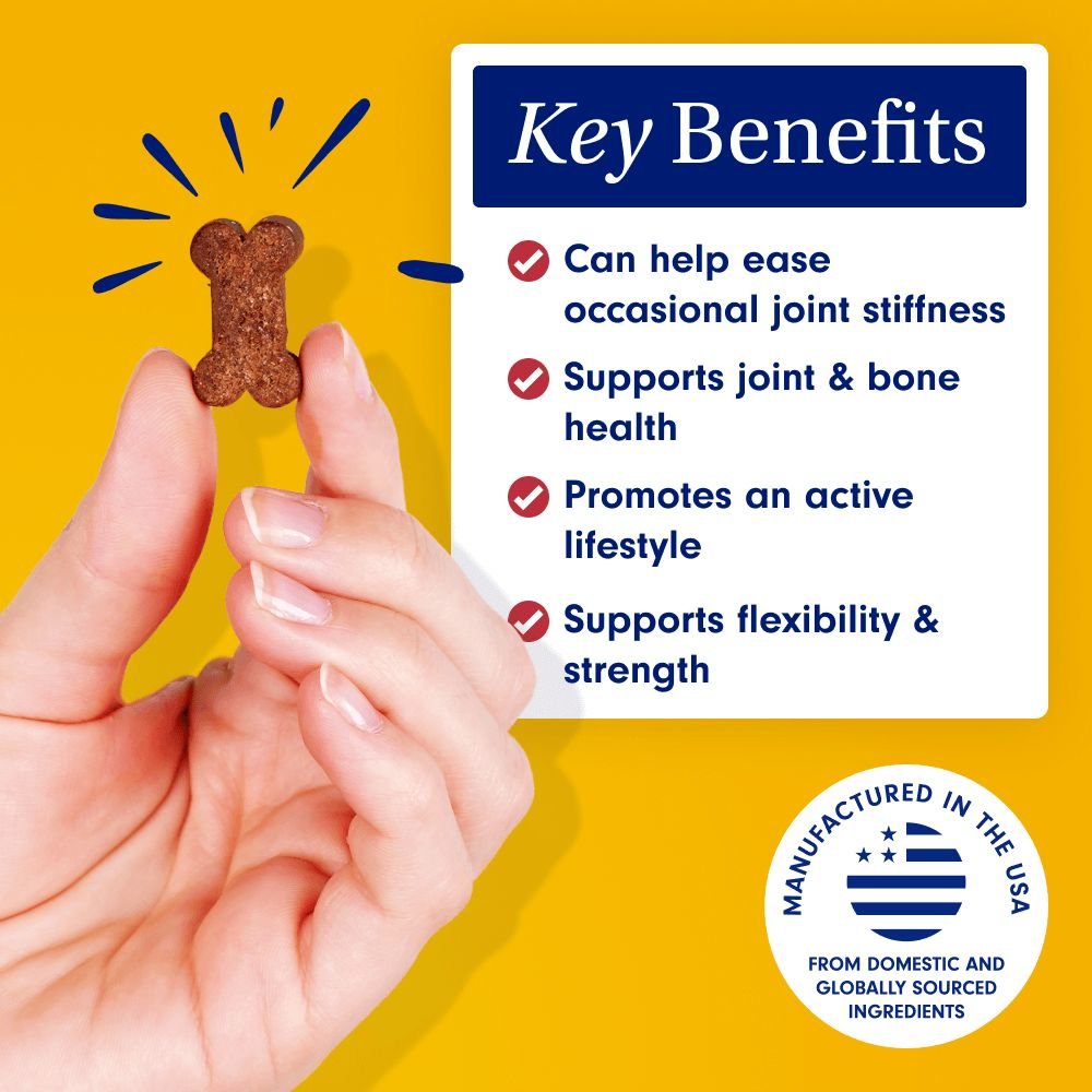 Joint Care Chews For Dogs Joint & Mobility Support PetLab Co.