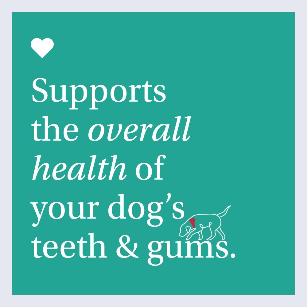 Dog Dental Formula Water Additive for Bad Breath