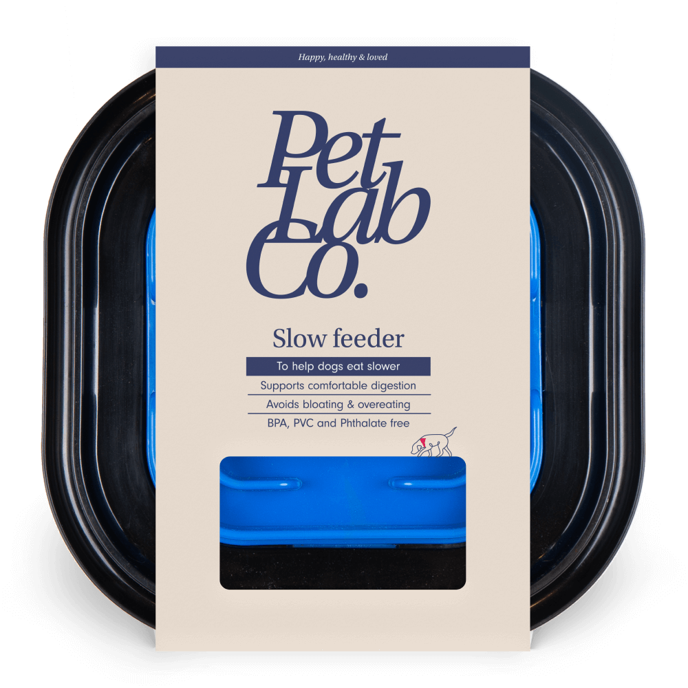 Slow Feeder Dog Bowl Aid Digestion & Reduce Bloating PetLab Co.