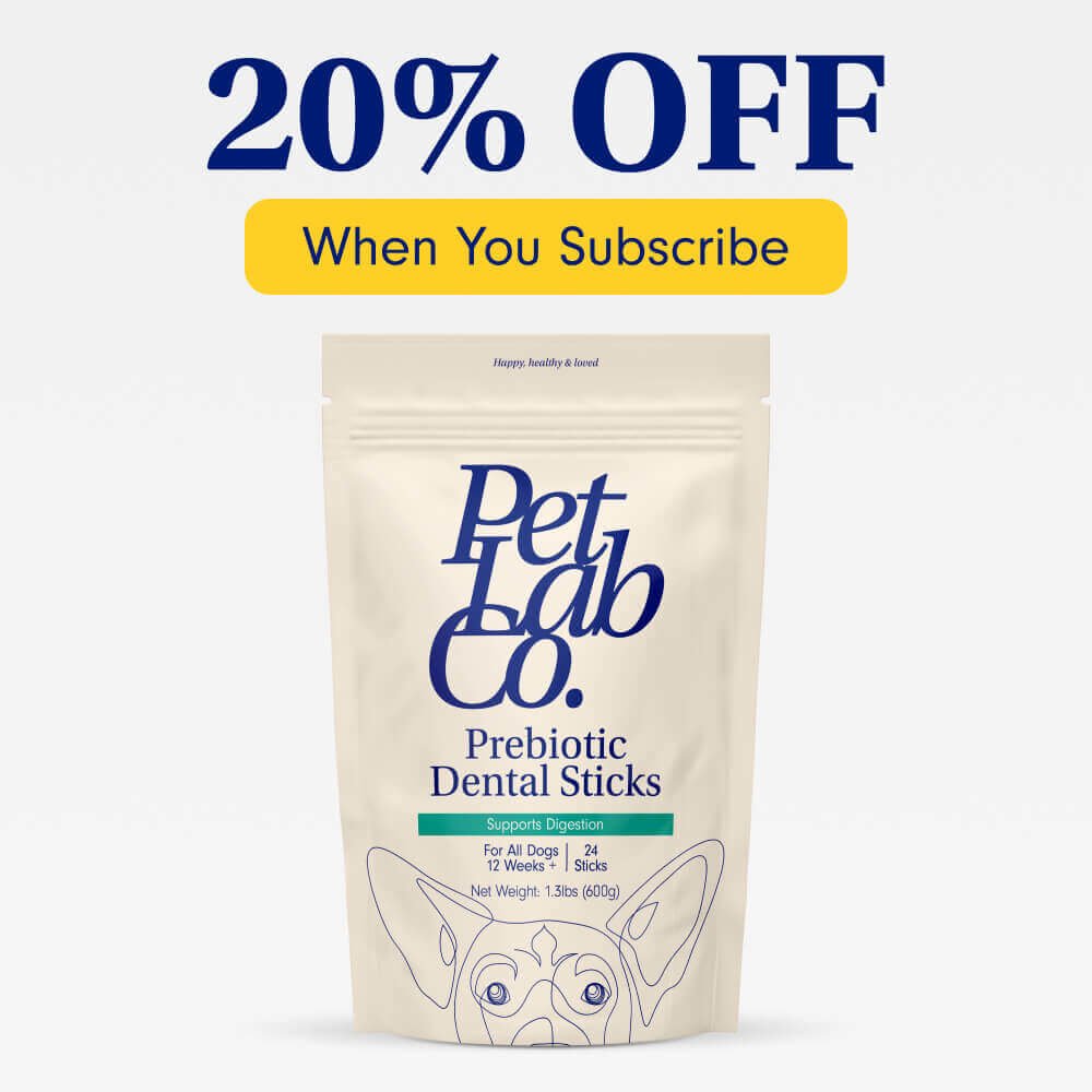 Dog Dental Sticks Two Pack Sizes Available PetLab Co.