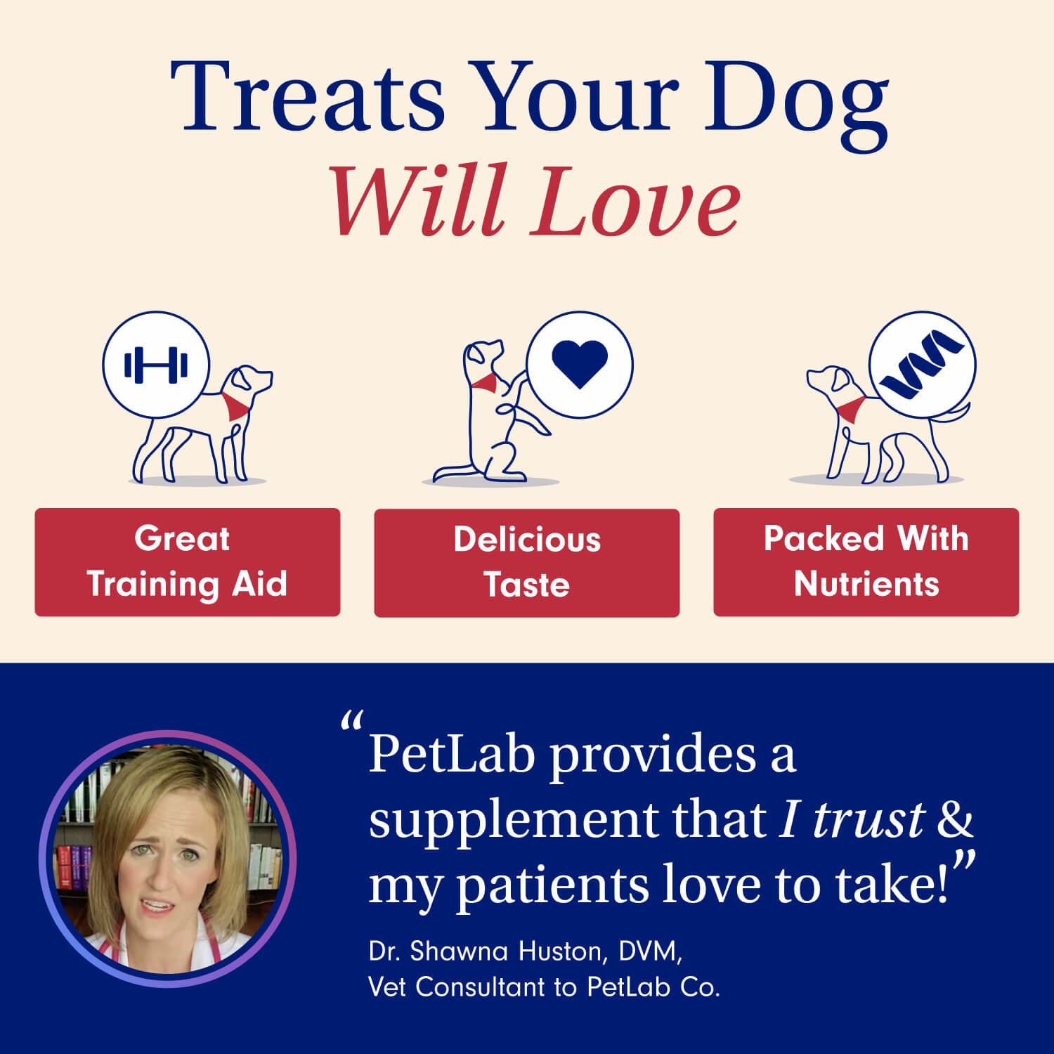 Dog Digestive Support Treats for Sensitive Stomachs