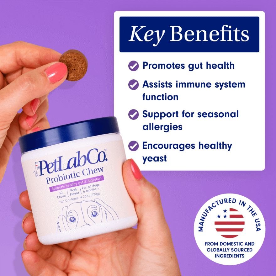 Probiotic Chews for Dogs Support Gut Health PetLab Co.