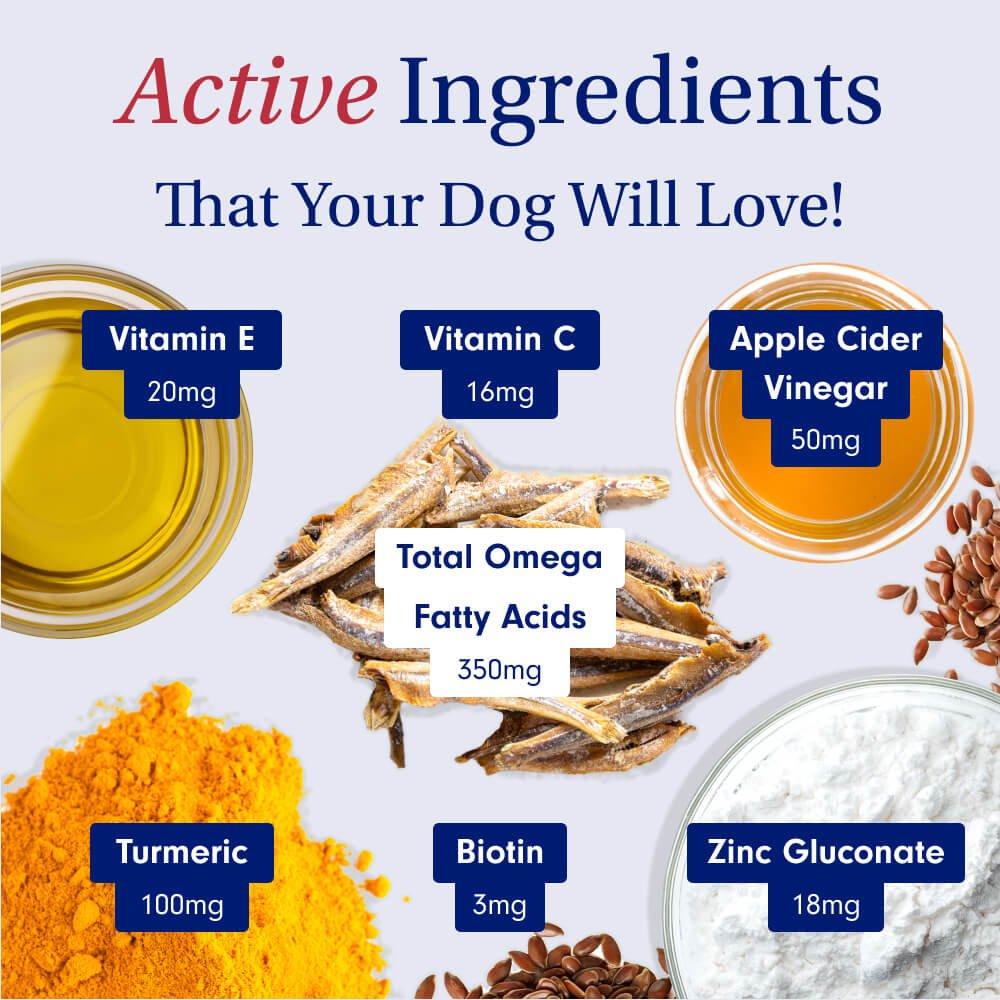 Skin Care Chews Promotes a Shiny Coat