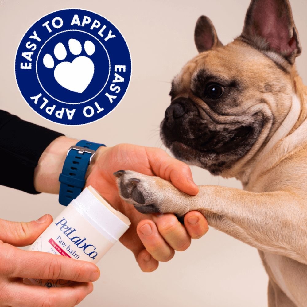 Paw Balm For Dogs | Treat Your Dog’s Dry, Cracked Paws | PetLab Co.