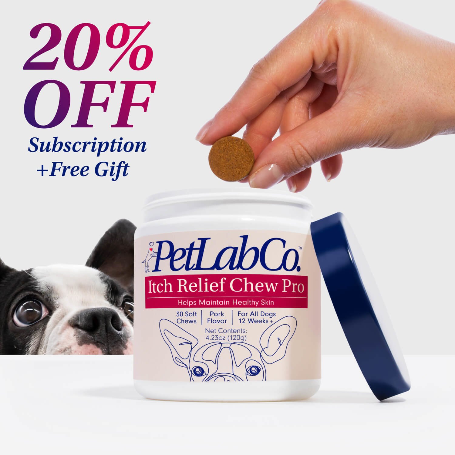 Dog Itch Relief Chew Pro Supports Skin Health PetLab Co.