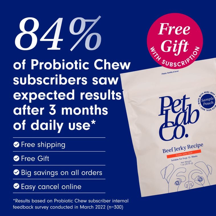 Probiotic Chews for Dogs Support Gut Health PetLab Co.