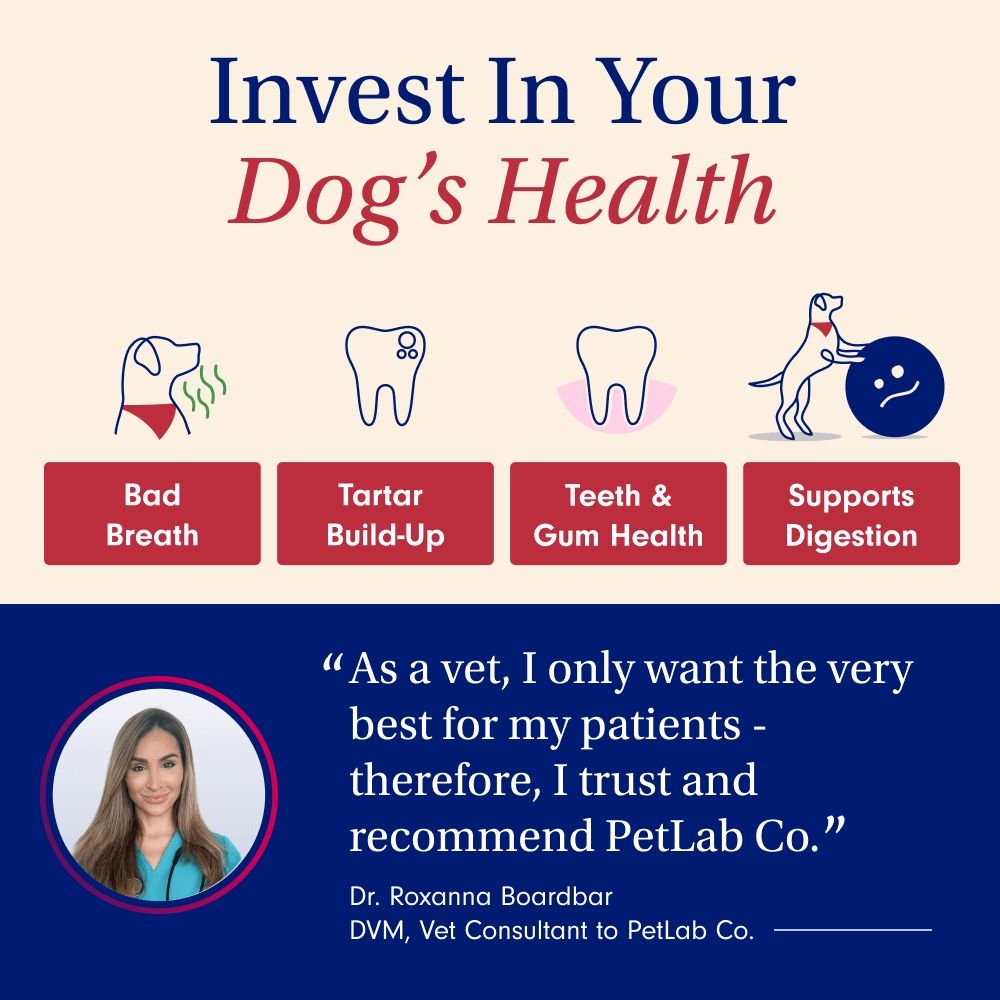 Dog Dental Sticks Two Pack Sizes Available PetLab Co.