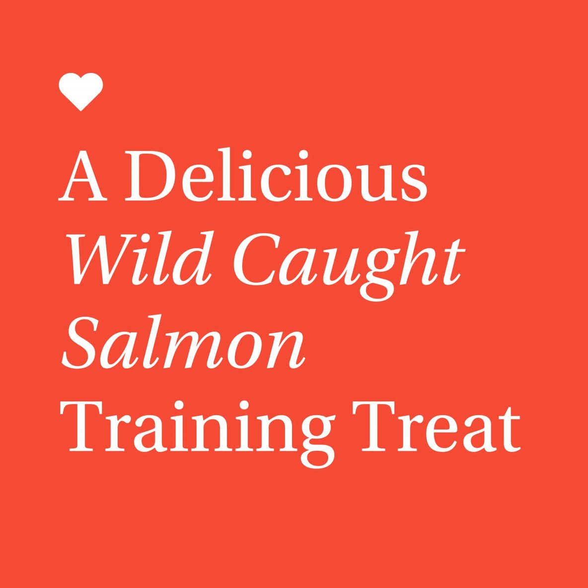 Wild Caught Salmon Bites Freeze Dried Salmon For Dogs PetLab Co.