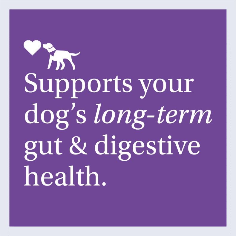 PetLab Co. Allergy & Immune Probiotic Soft Chews For Dogs – Pack Of 3 – All Breeds & Life Stages