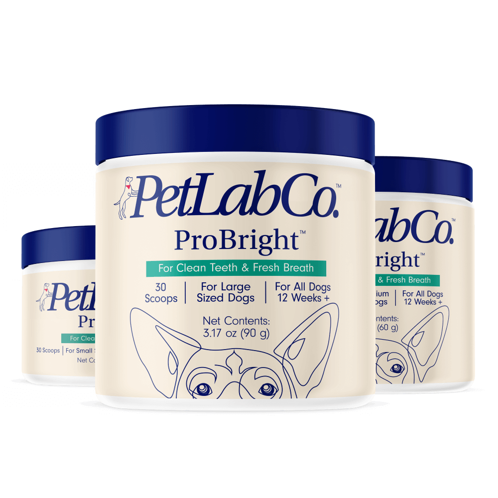 ProBright™ Powder Helps Clean Teeth & Freshen Breath PetLab Co.