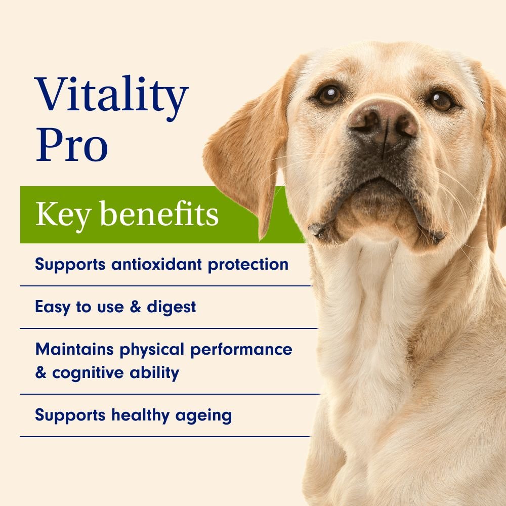Vitality Pro Dog Resveratrol Supplement Senior Dog Vitamins