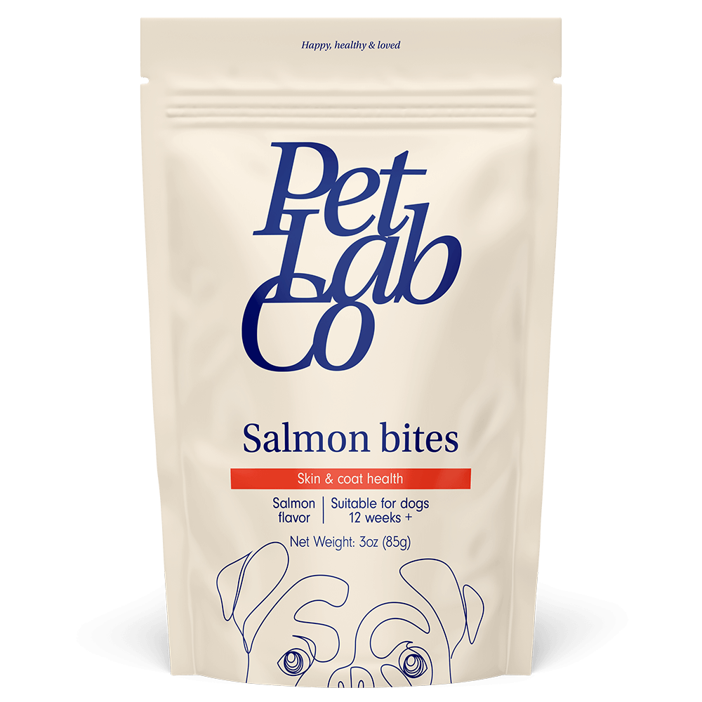 Salmon Bites for Dogs Safe & Healthy Salmon Treats