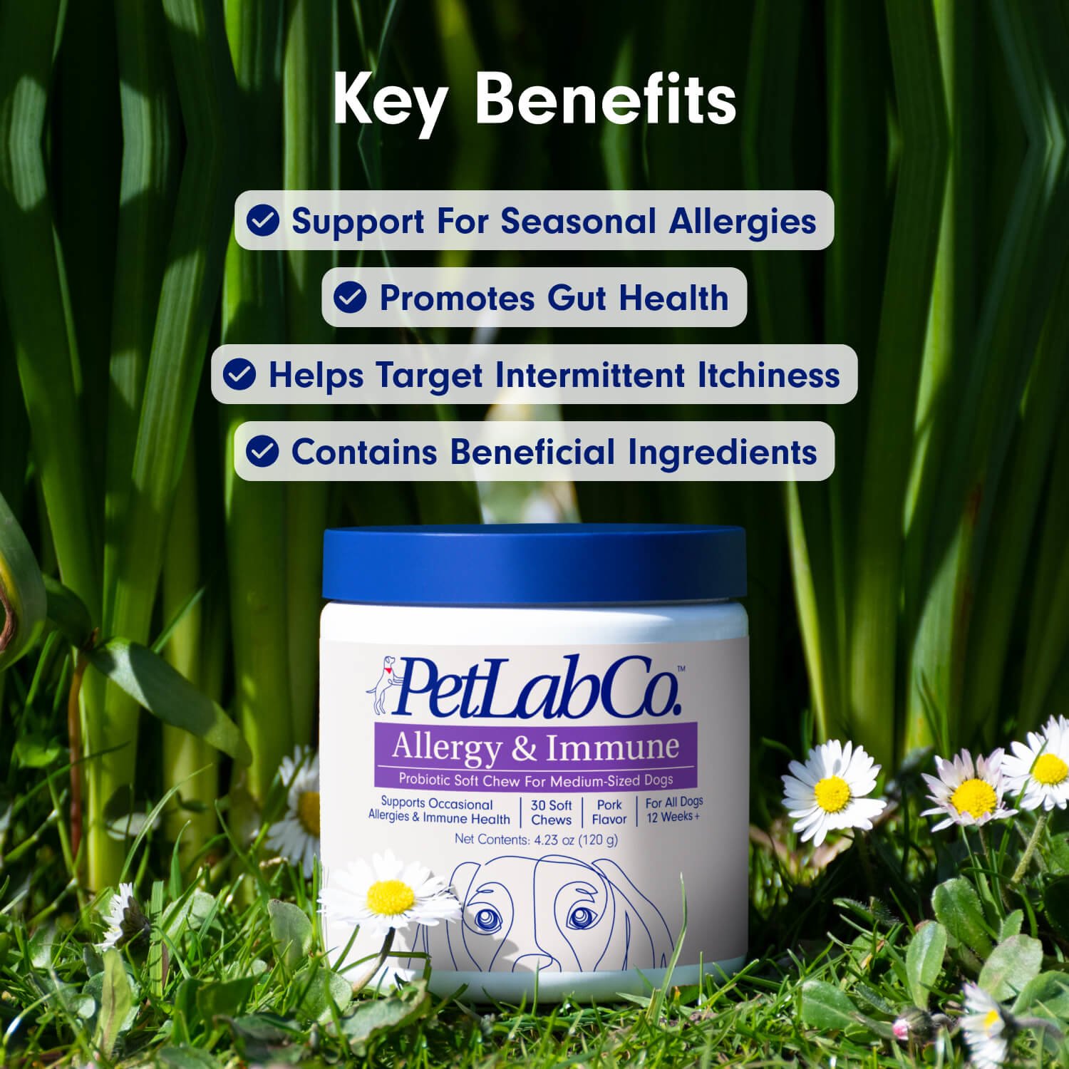 Allergy & Immune Probiotic Chew For Dogs PetLab Co.