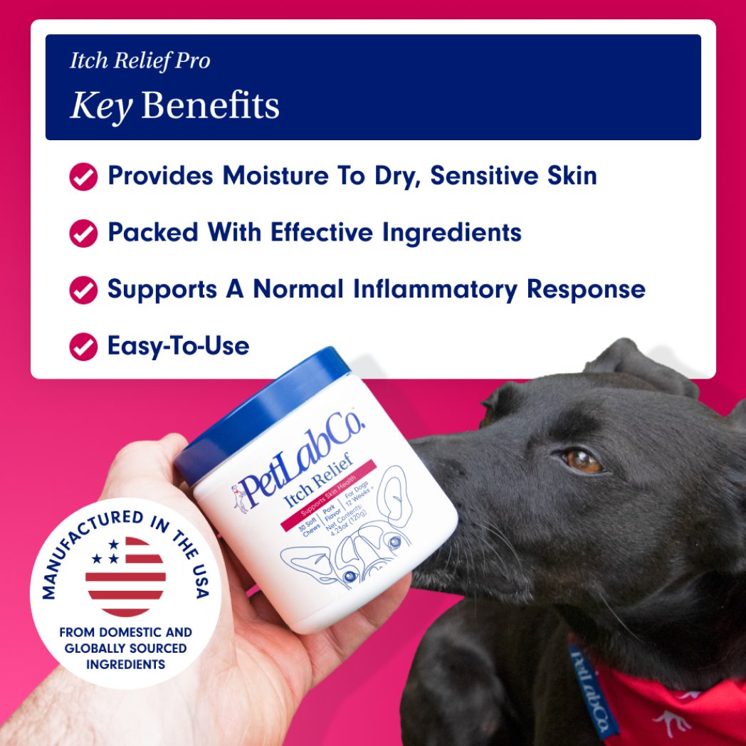 Dog Itchy Skin Bundle Probiotic & Itch Relief Pro Supplements PetLab Co.