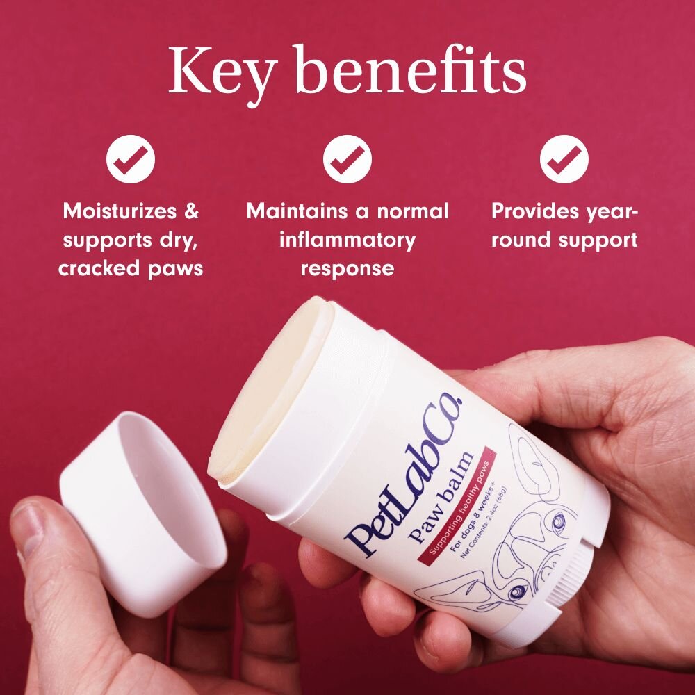 Paw Balm For Dogs Treat Your Dog s Dry Cracked Paws PetLab Co 