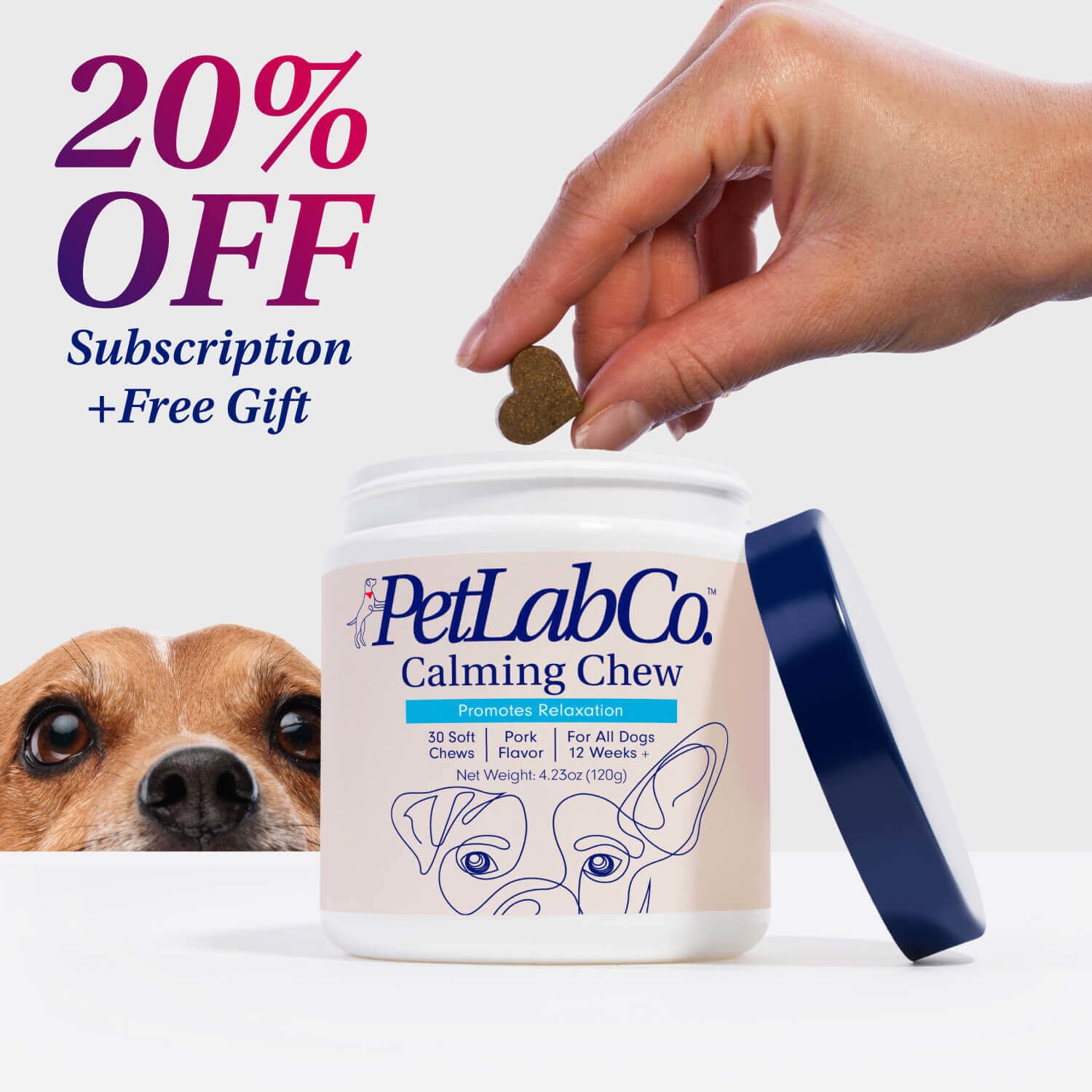 Calming Chew For Dogs NonDrowsy PetLab Co.
