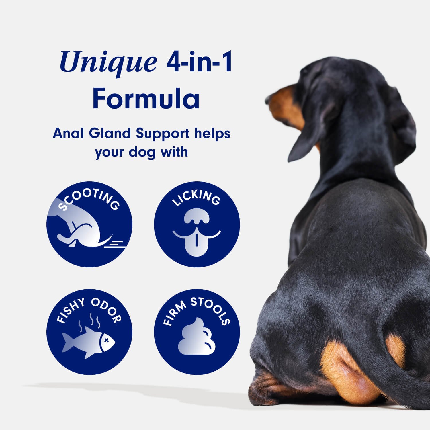 Anal Gland Support For Dogs Anal Gland Health PetLab Co.