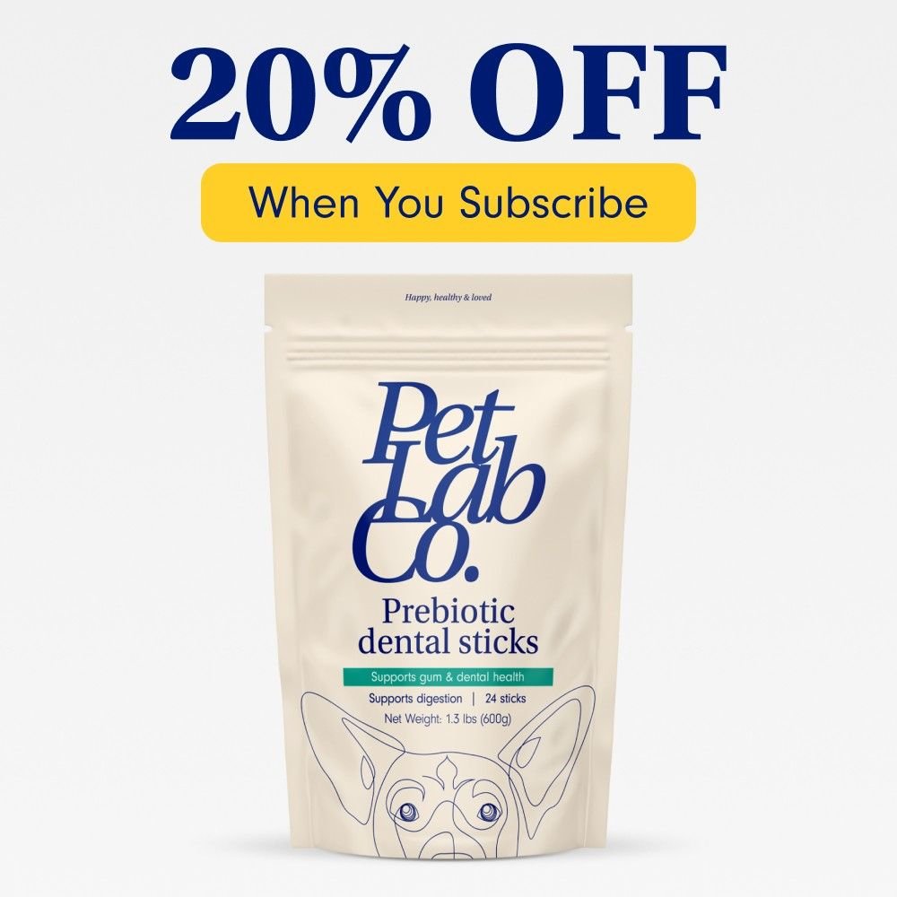 Dog Dental Sticks Two Pack Sizes Available PetLab Co.