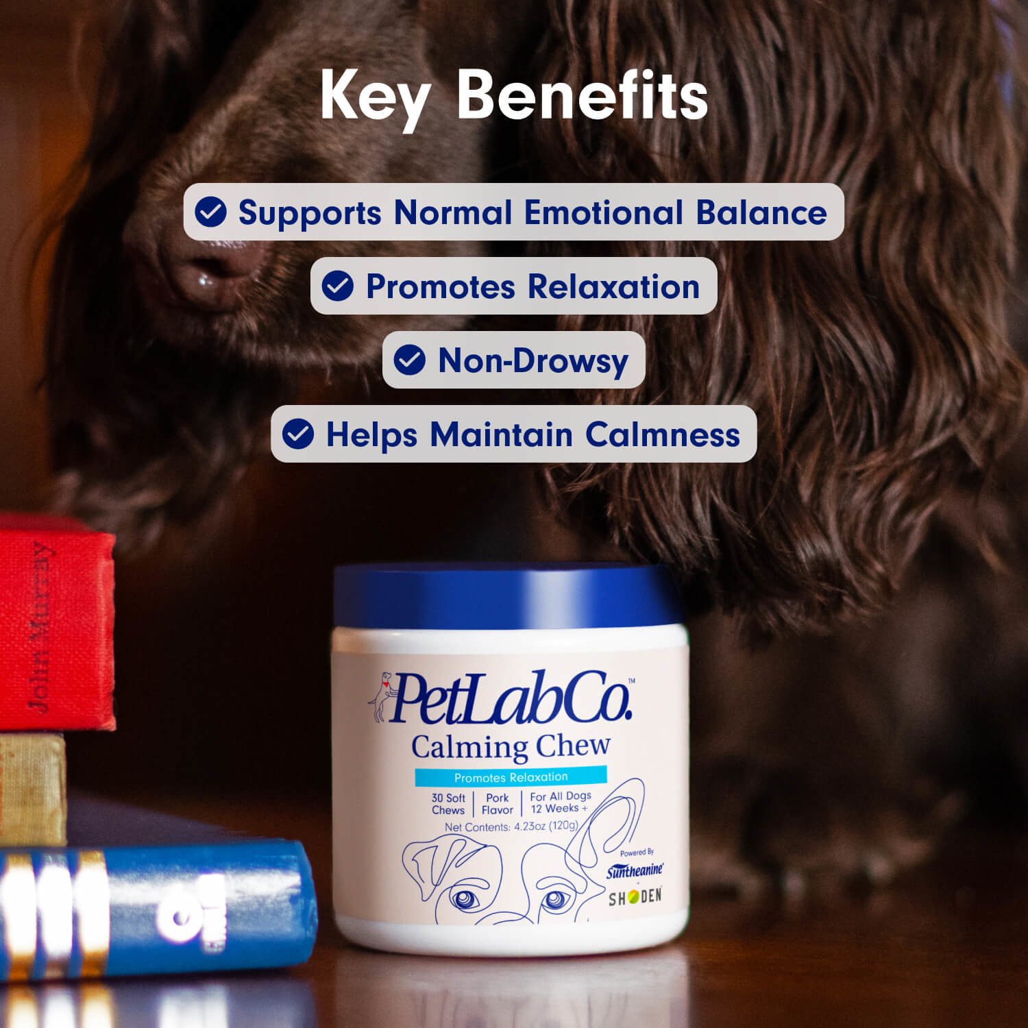 Calming Chew For Dogs NonDrowsy PetLab Co.