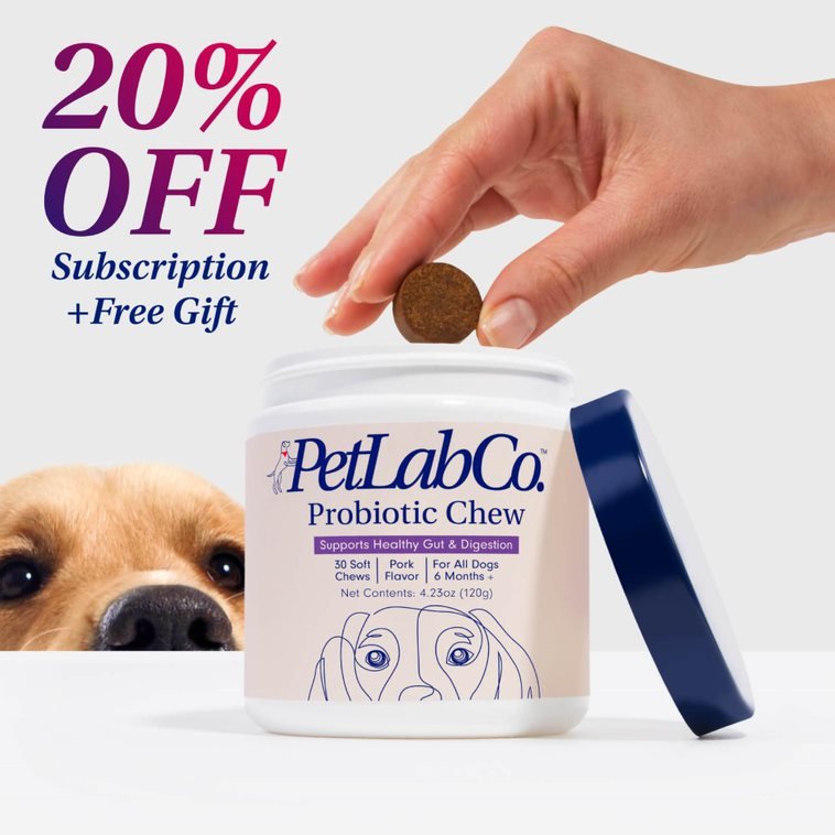Probiotic Chews for Dogs Support Gut Health PetLab Co.