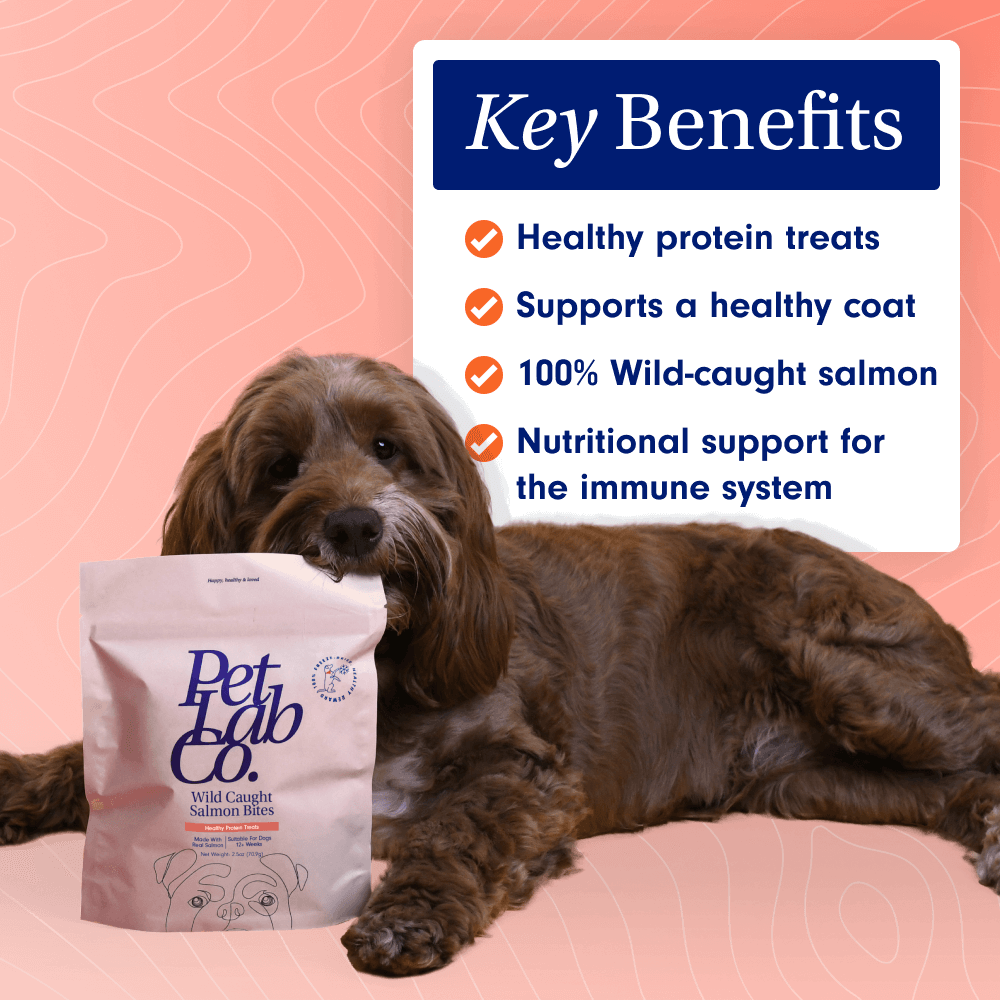 Wild Caught Salmon Bites Freeze Dried Salmon For Dogs PetLab Co.