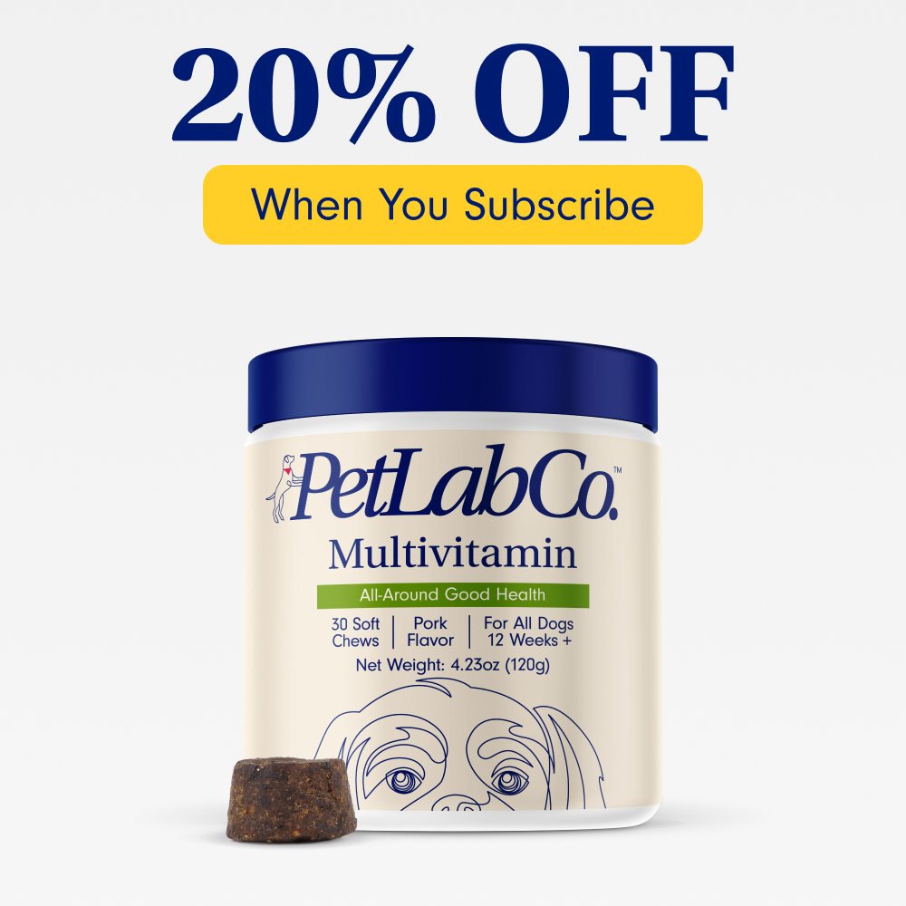 Dog Multivitamin Dog Vitamin For Overall Health PetLab Co.