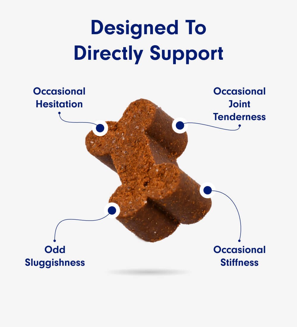 Joint Care Chews For Dogs Joint & Mobility Support PetLab Co.