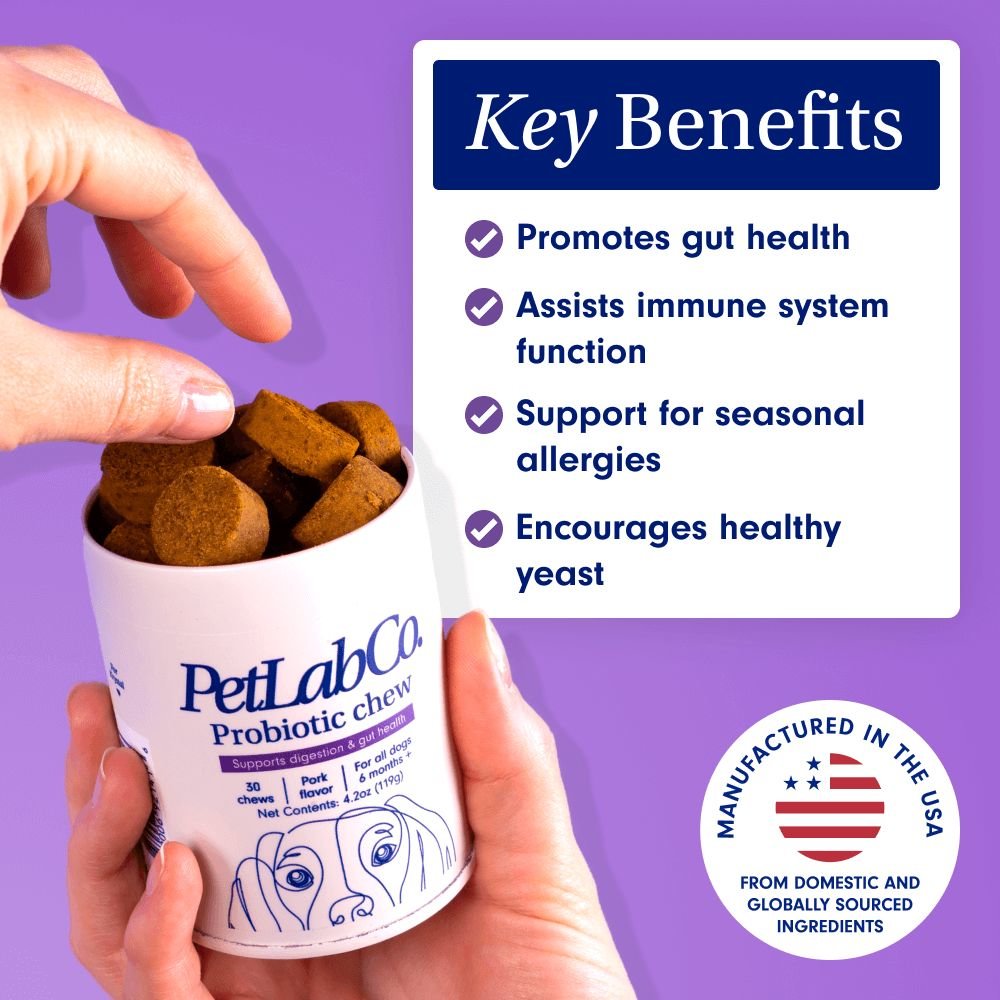 Probiotic Chews for Dogs Support Gut Health PetLab Co.