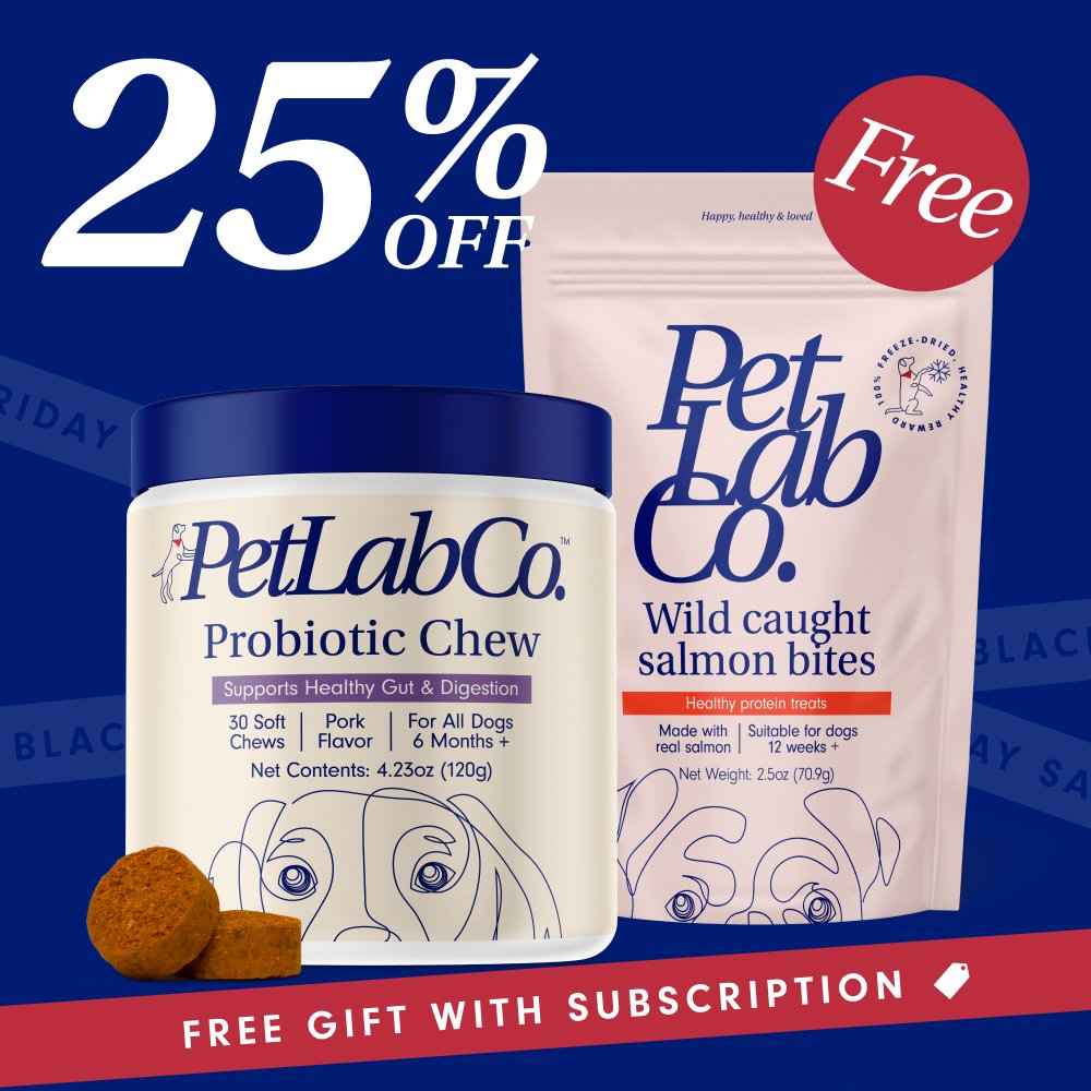 Probiotic Chews for Dogs Support Gut Health PetLab Co.