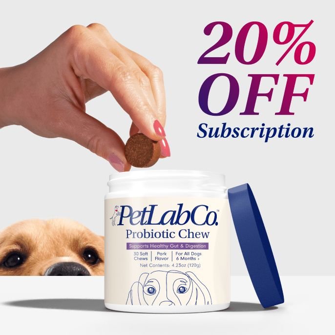 Probiotic Chews for Dogs Support Gut Health PetLab Co.