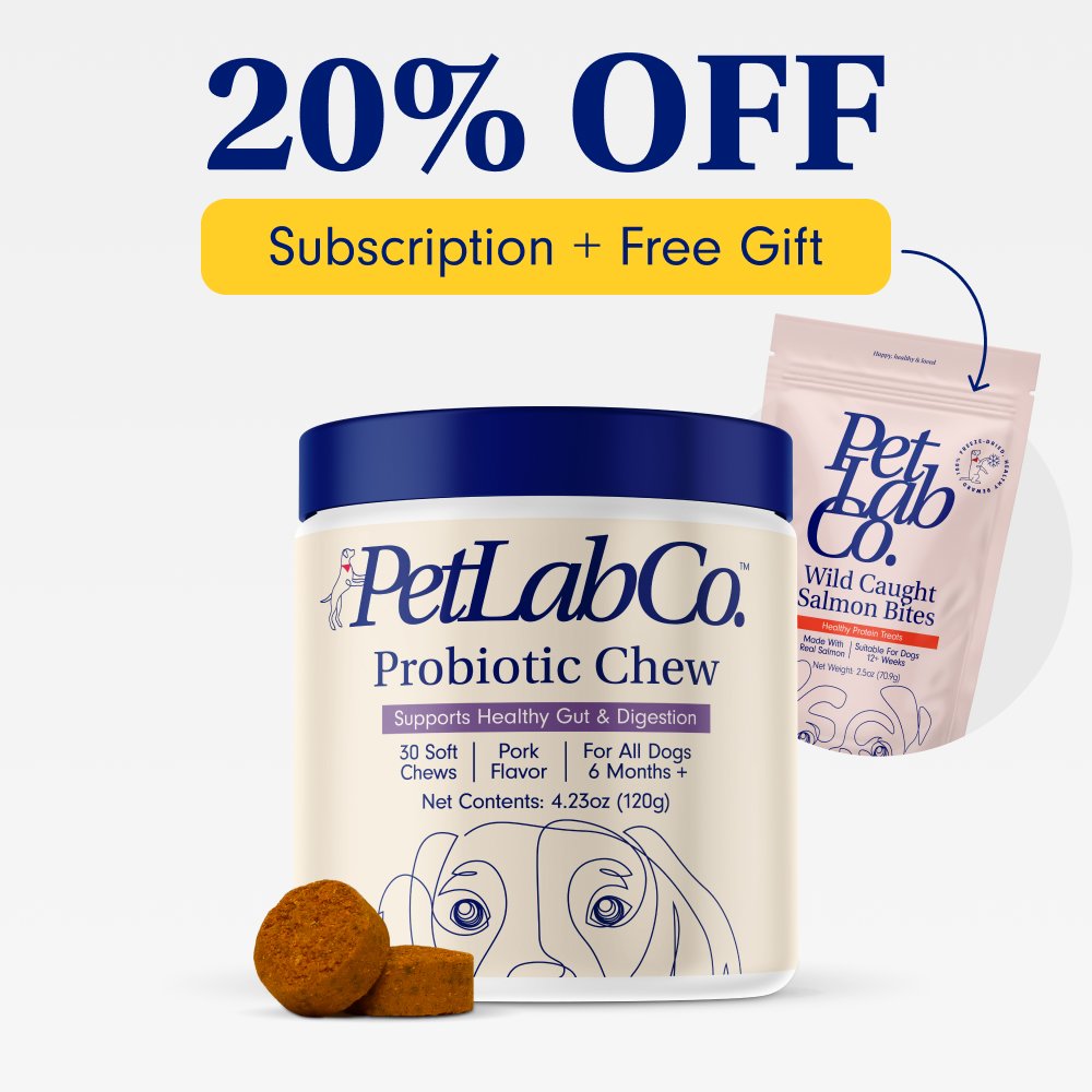 Probiotic Chews for Dogs Support Gut Health PetLab Co.