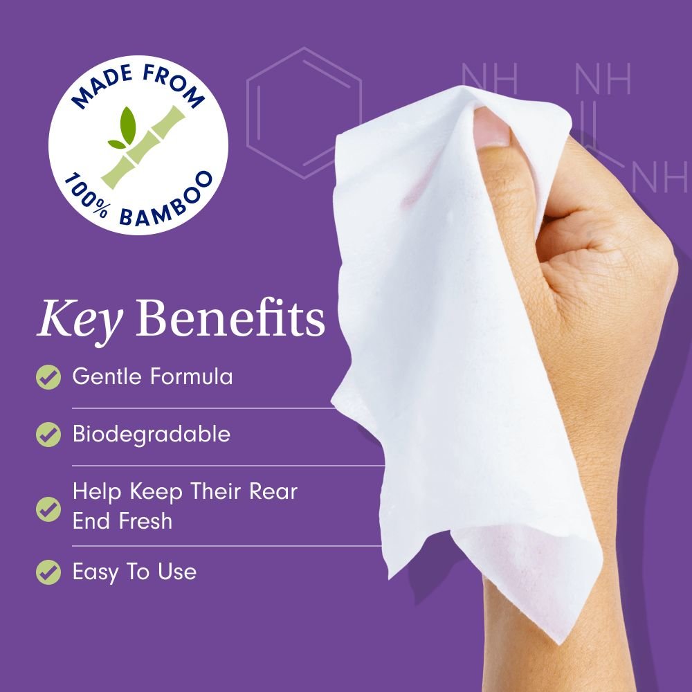 Anal Gland Wipes For Dogs Supports Anal Gland Health PetLab Co.