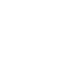 1b99 virginia