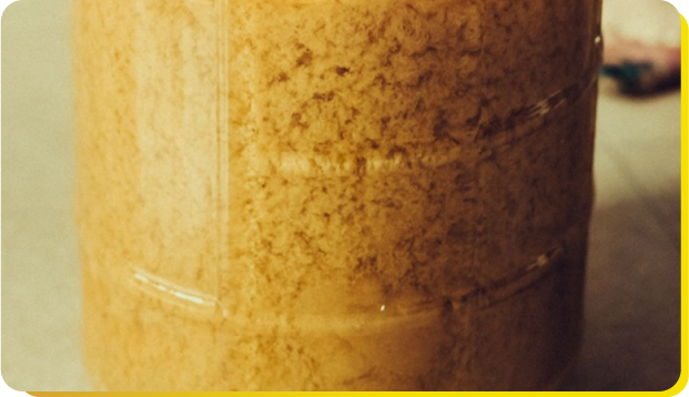 Brewing Process | Anheuser-Busch