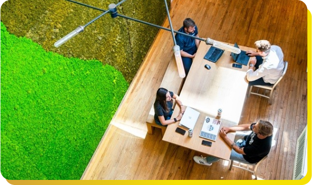 Culture | Anheuser-Busch