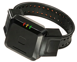 Securusmonitoring.com | Electronic Monitoring Solutions & Devices ...