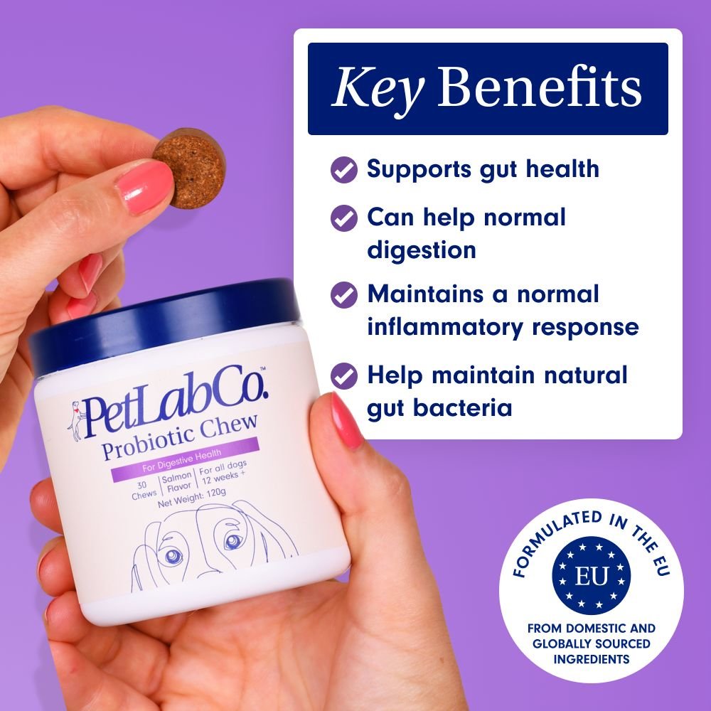 Probiotic Chews for Dogs Support Gut Health PetLab Co.