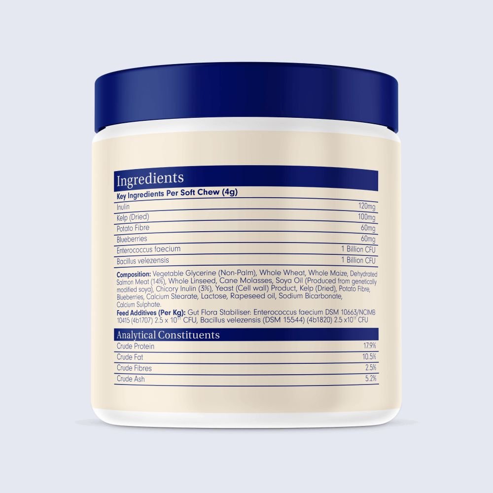 Probiotic Chews for Dogs Support Gut Health PetLab Co.