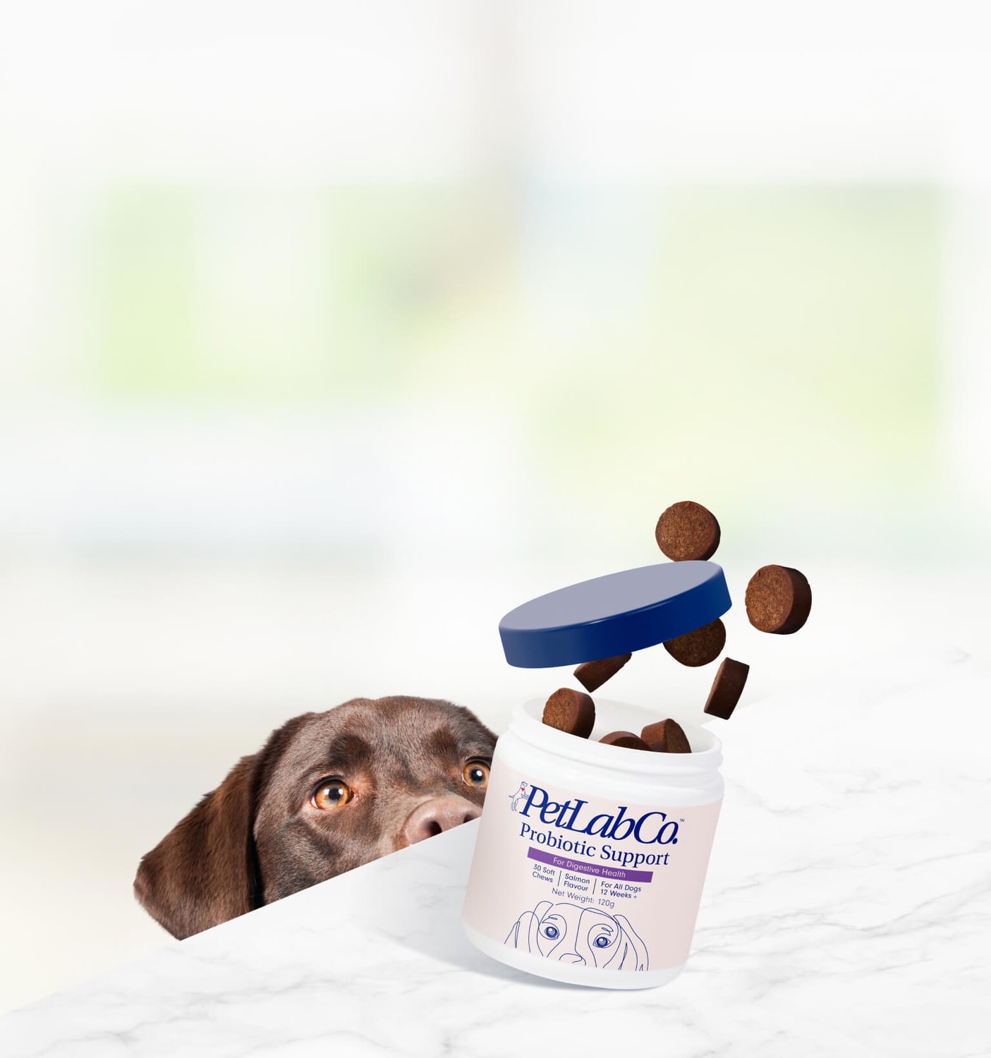 PetLab Co. - Supplies, Treats, Snacks & Chews - Join The Pack