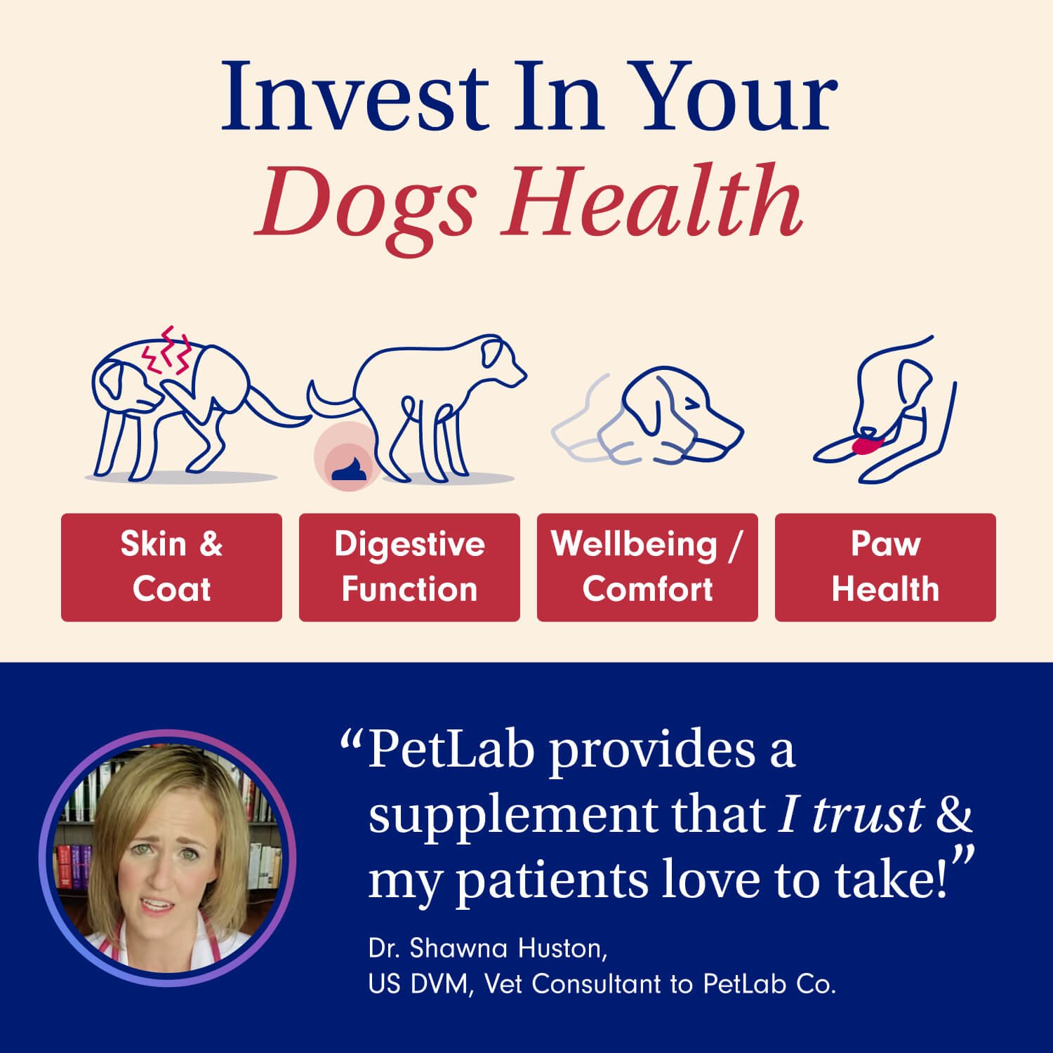 Probiotic Chews for Dogs Support Gut Health PetLab Co.