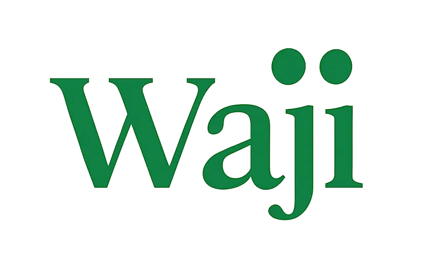 How Waji Works | Guided Eye Movement Sessions