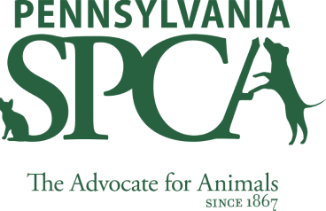 Our Pledge to Pets