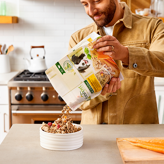 Healthy Pet Food Pet Food Freshpet